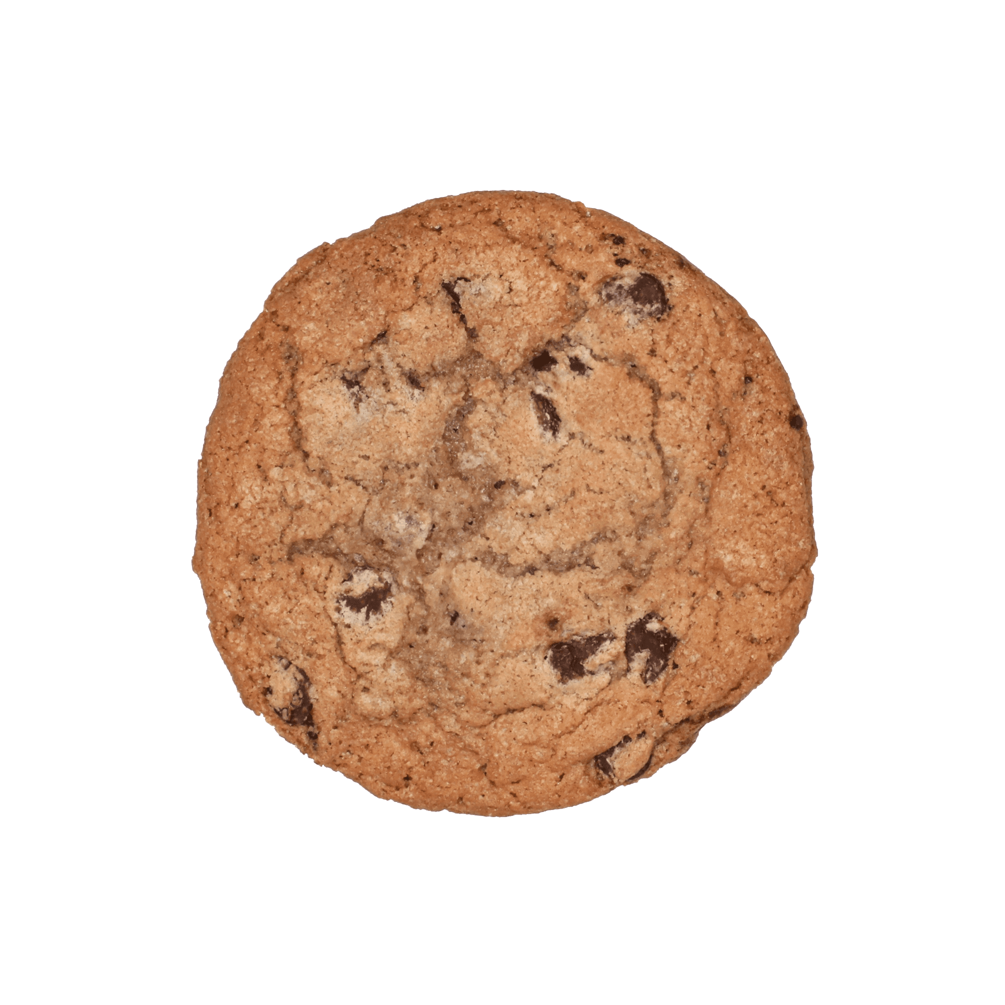 Chocolate Chip Cookie